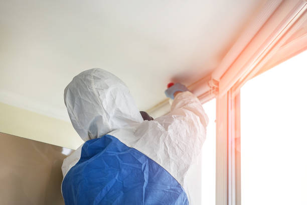 Best Asbestos and Lead Testing During Mold Inspection in Ballston Spa, NY