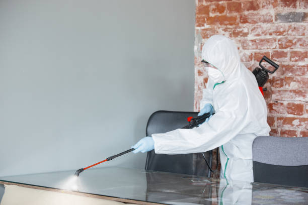 Best Environmental Consulting for Mold Prevention in Ballston Spa, NY