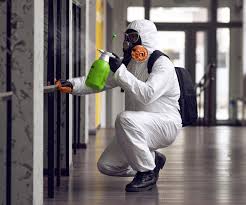 Why You Should Choose Our Mold Remediation Services in Ballston Spa, NY